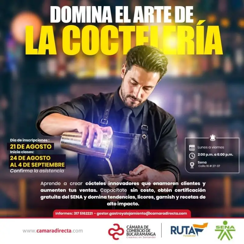 Domina el Arte de la Coctelería 🍹✨🍸✨