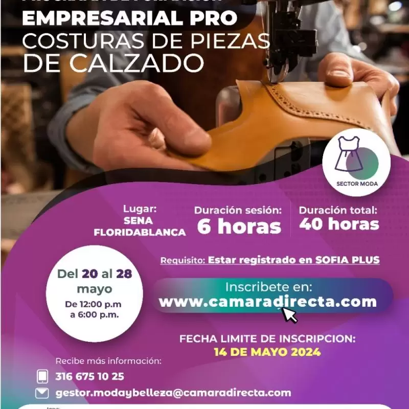 ¡Empresarios Ruta F del Sistema Moda, asiste al programa de formación empresarial: Costuras de piezas de calzado!