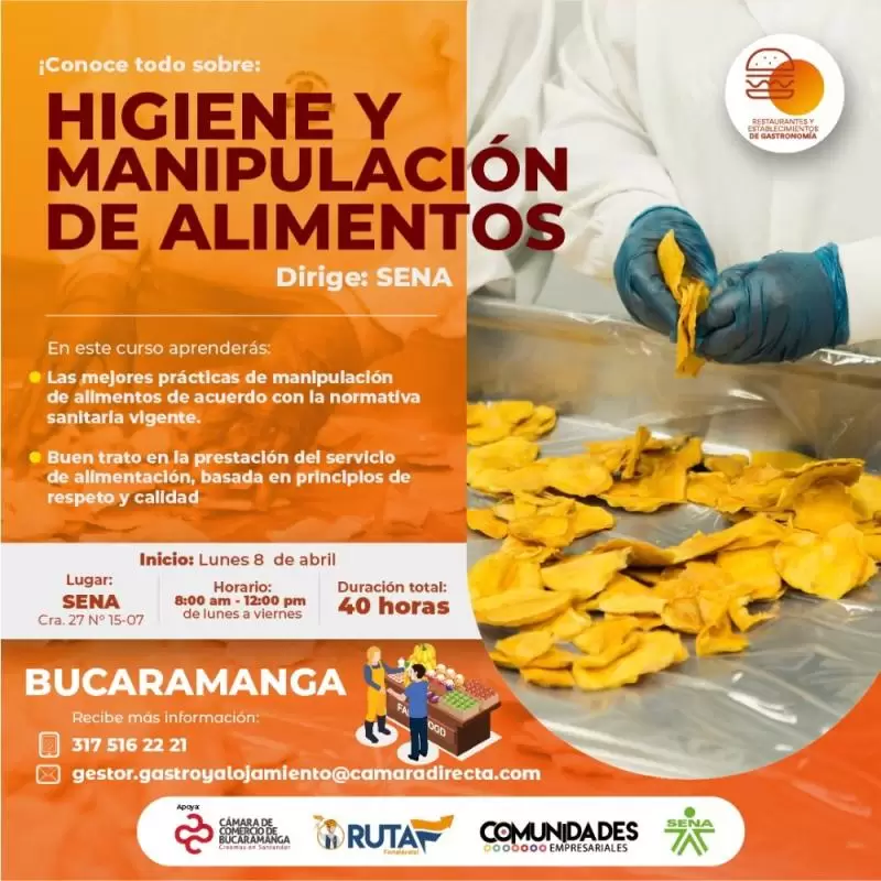 🍔Taller: Higiene y manipulación de alimentos🍔