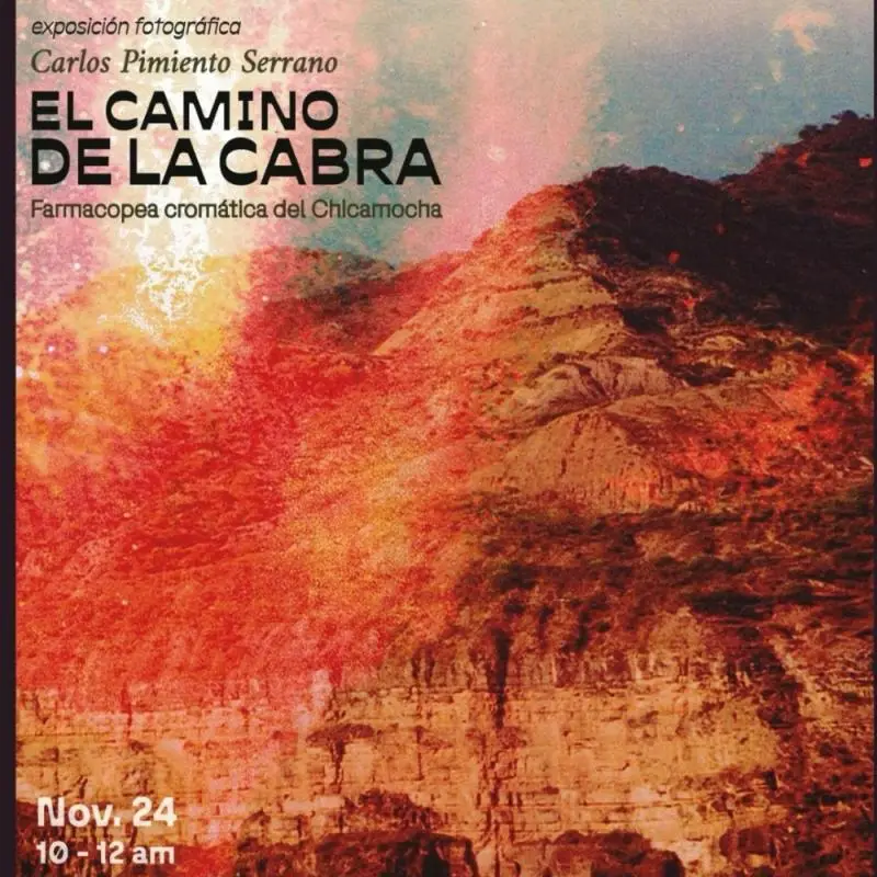 Taller de Bleaching Intervención de fotografías con cloro