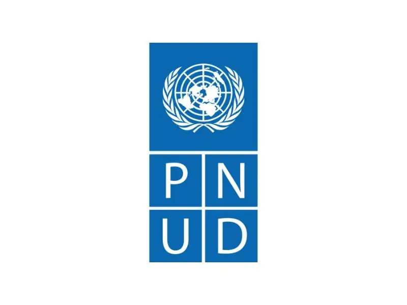 USAID  - PNUD