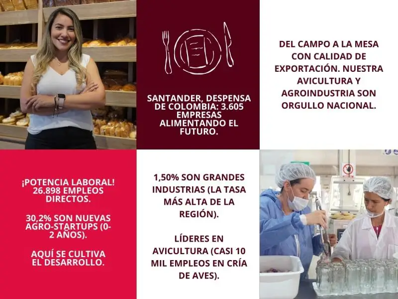 Industria de Alimentos - Cámara de Comercio de Bucaramanga